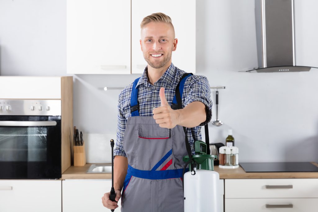 Portrait Of Confident Pest Control Worker With Pesticide Container In Kitchen
