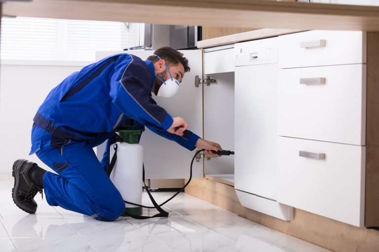 5 Essential Pest Control Maintenance Tips for Homeowners